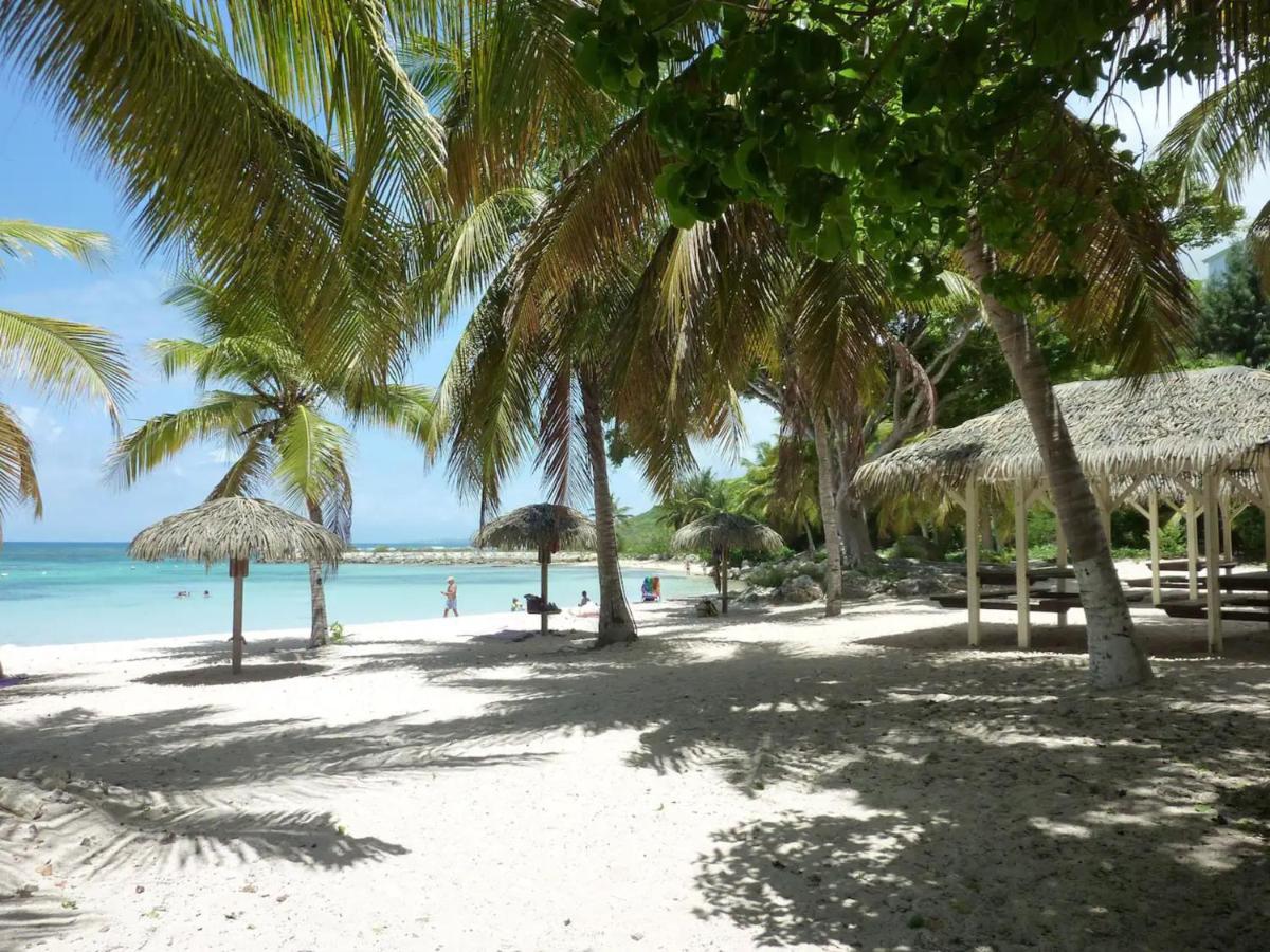 La Kaza Des Cocotiers - Anse Des Rochers - Piscine Face Ocean
